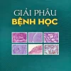 GIẢI PHẪU BỆNH HỌC YHN PDF 2025