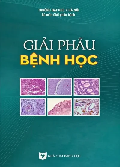 GIẢI PHẪU BỆNH HỌC YHN PDF 2025
