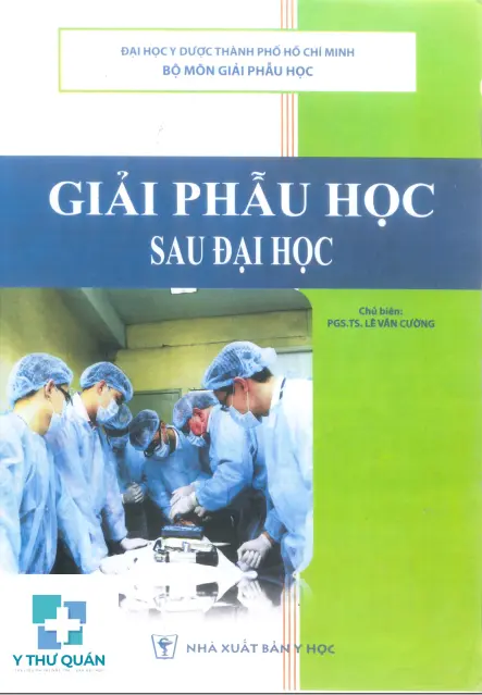 Giải phẫu sau đại học YDS