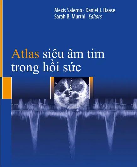 Siêu âm tim trong hồi sức